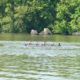 A group of women on a crew team rowing on the Anacostia river
