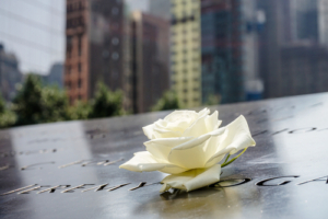 Flower at the site of 9/11 Memorial