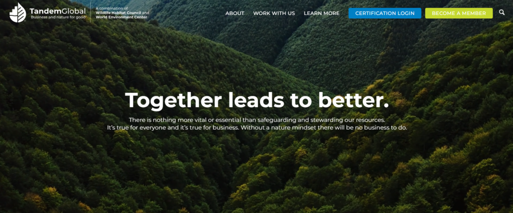 Tandem Global Website Homepage