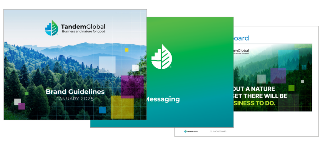 Tandem Global 2025 Brand Guidelines Snapshots